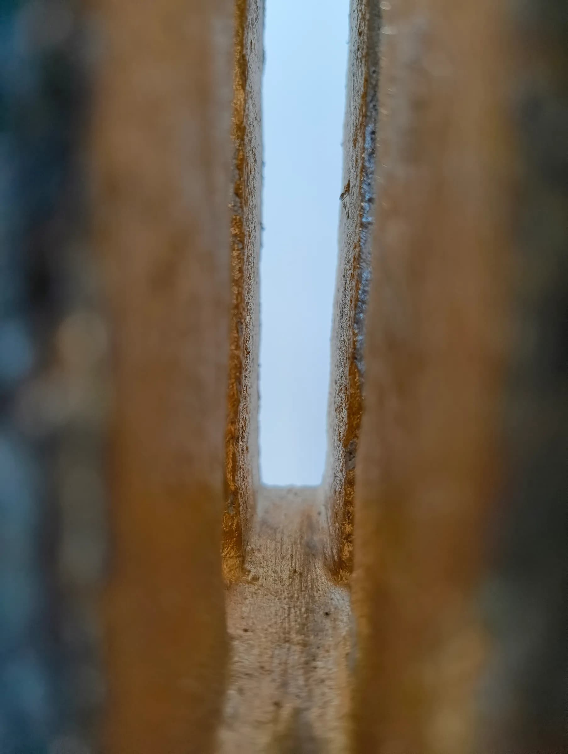 Sans Titre - Miniature 5