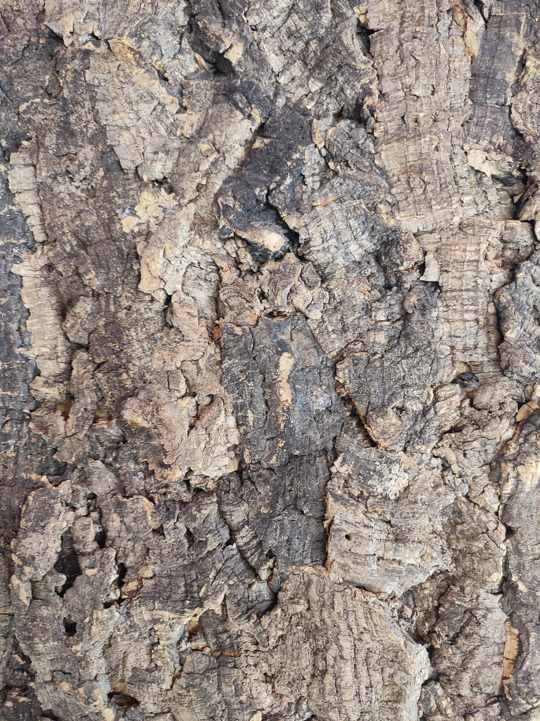 Sans Titre - Miniature 3