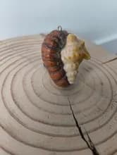 Sans Titre - Miniature 2