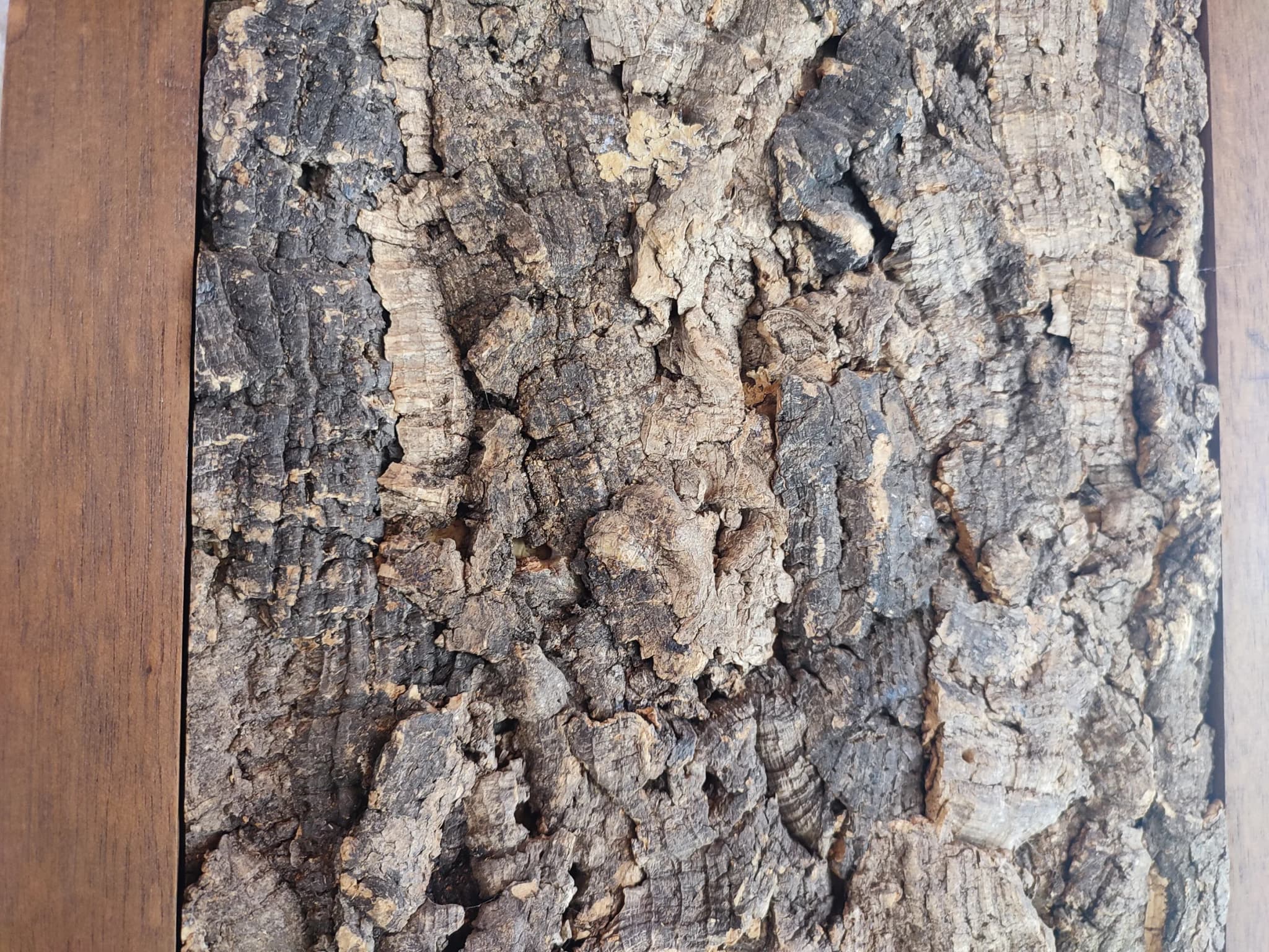 Sans Titre - Miniature 2