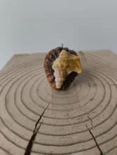 Sans Titre - Miniature 1