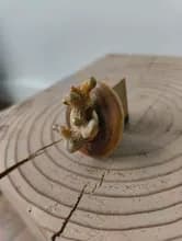 Sans Titre - Miniature 1